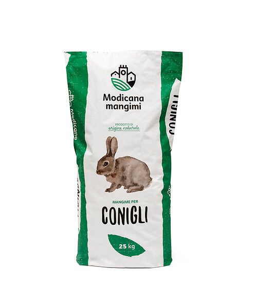 Conigli